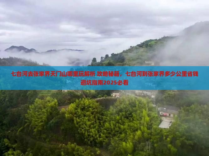 七台河去张家界天门山哪里玩