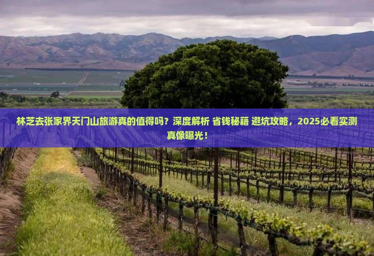 林芝去张家界天门山旅游