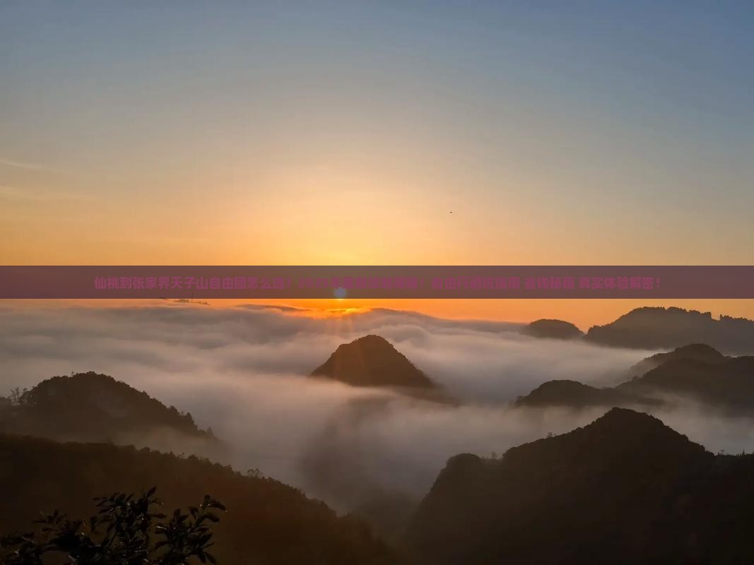 仙桃到张家界天子山自由团