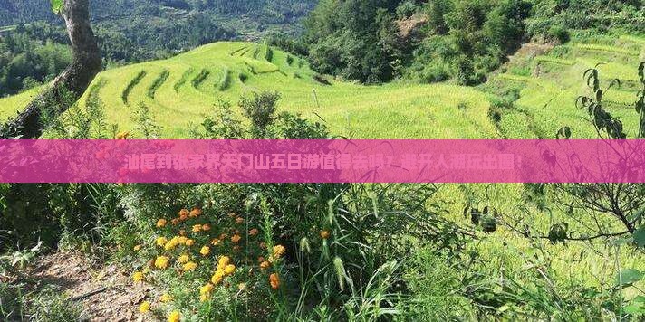 汕尾到张家界天门山五日游