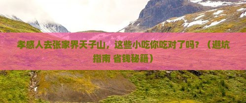 孝感去张家界天子山旅游小吃