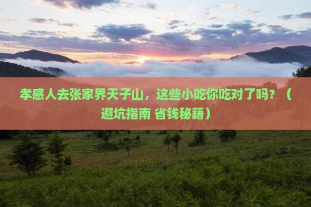 孝感去张家界天子山旅游小吃