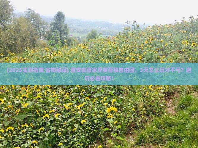 雅安去张家界芙蓉镇自由团