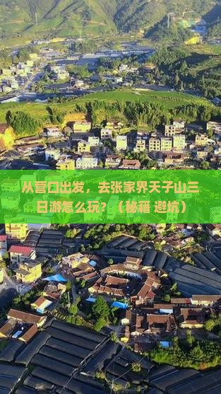 营口去张家界天子山三日游