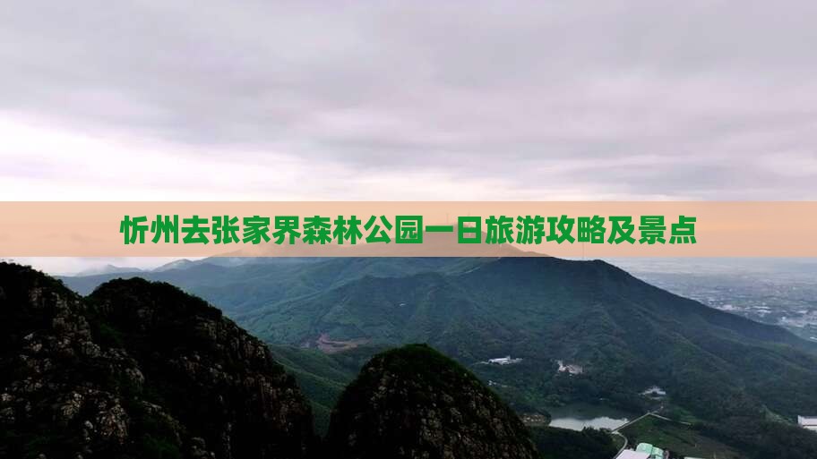 忻州去张家界森林公园一日