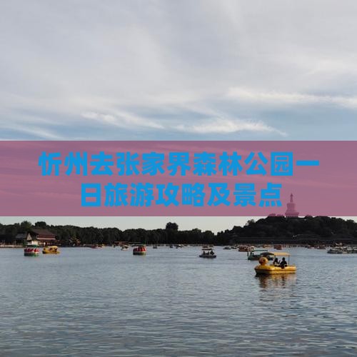 忻州去张家界森林公园一日