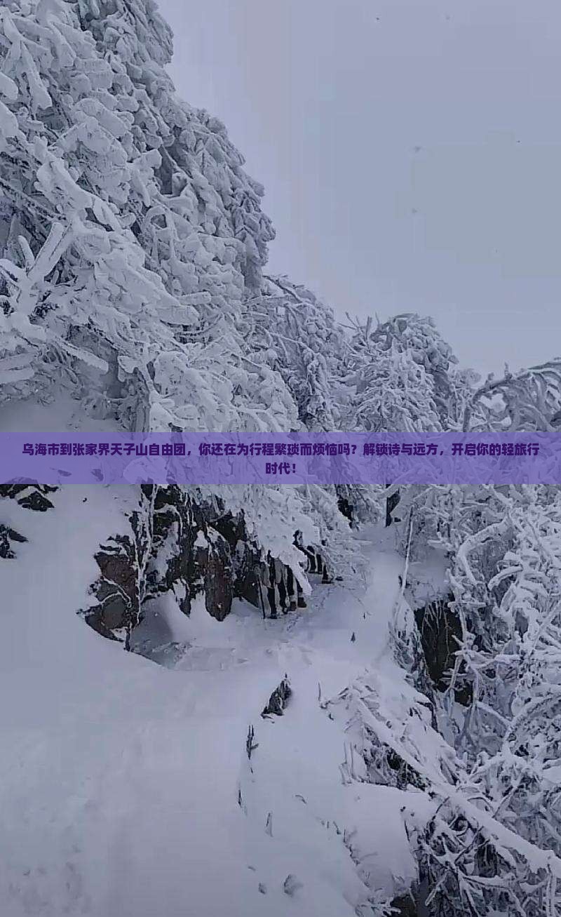 乌海市到张家界天子山自由团