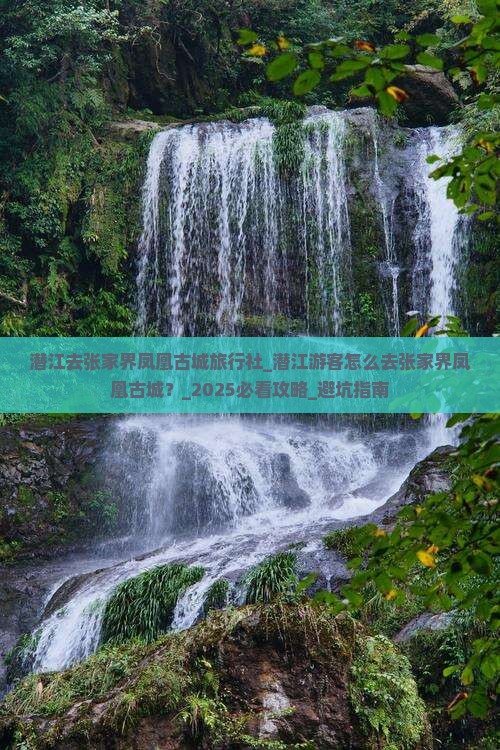 潜江去张家界凤凰古城旅行社