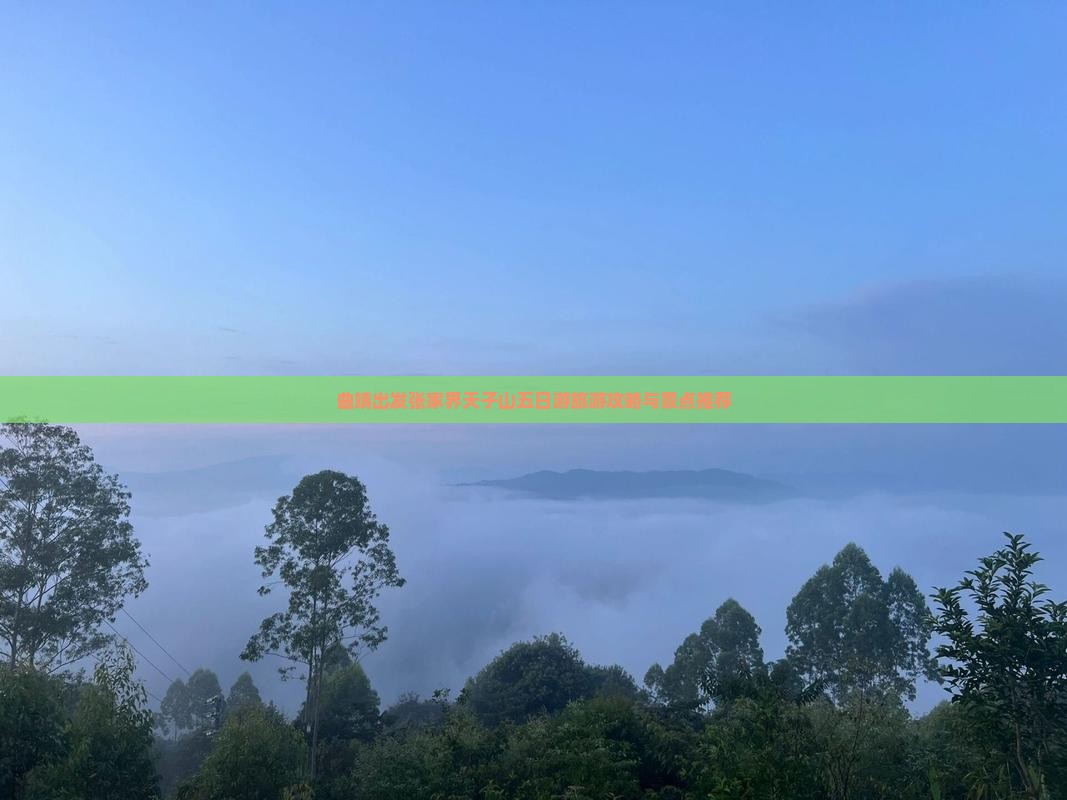 曲靖去张家界天子山五日游