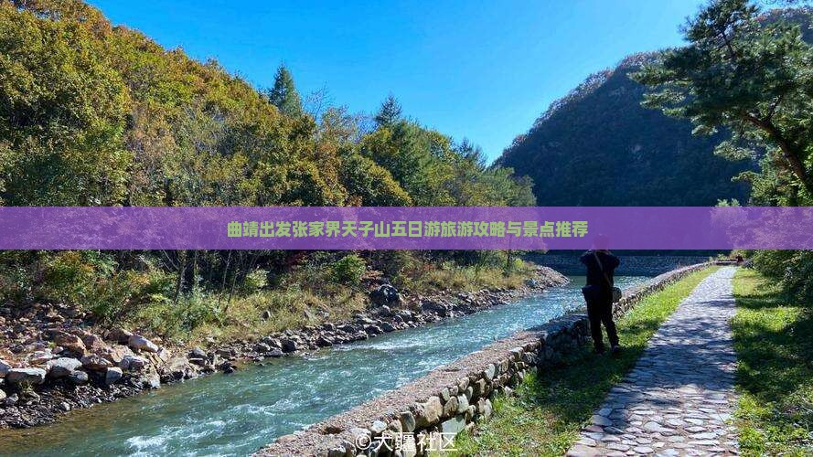 曲靖去张家界天子山五日游