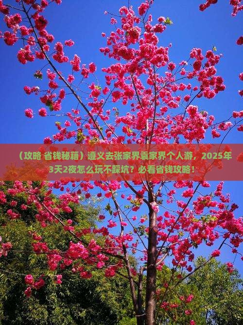 遵义去张家界袁家界个人游