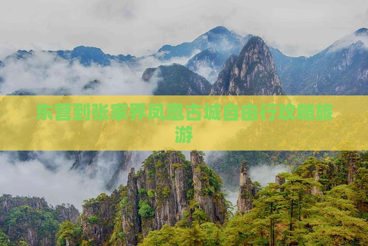 东营到张家界凤凰古城自由行