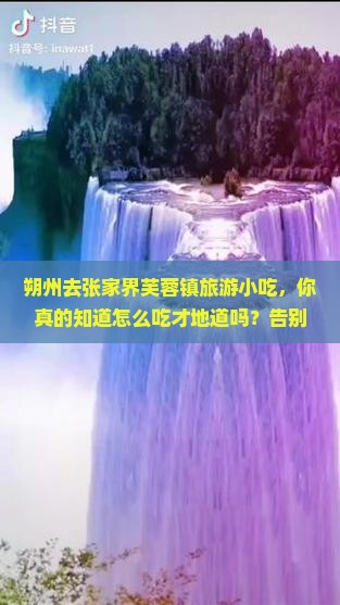 朔州去张家界芙蓉镇旅游小吃