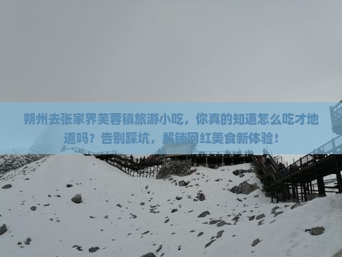 朔州去张家界芙蓉镇旅游小吃