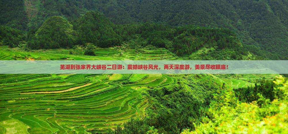 芜湖到张家界大峡谷二日游