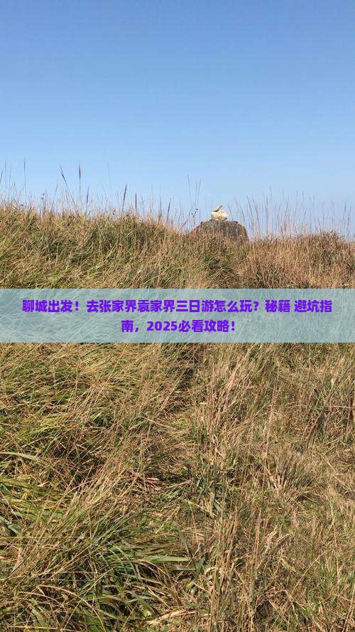 聊城去张家界袁家界三日游