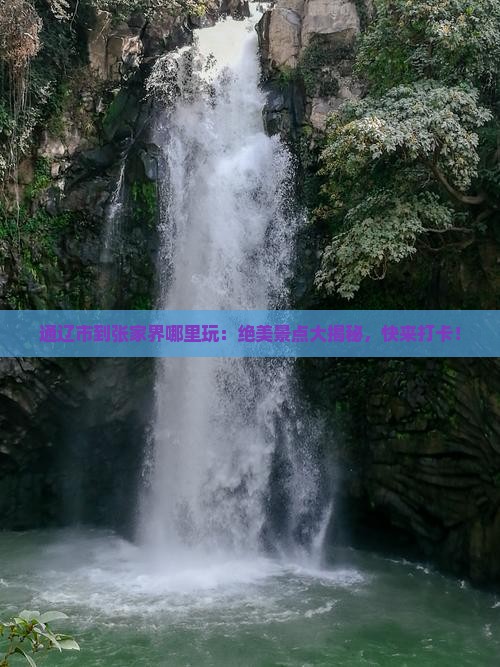 通辽市到张家界哪里玩