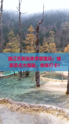 通辽市到张家界哪里玩