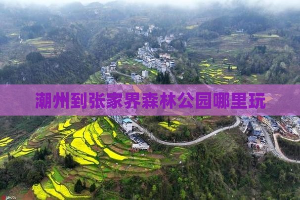 潮州到张家界森林公园哪里玩