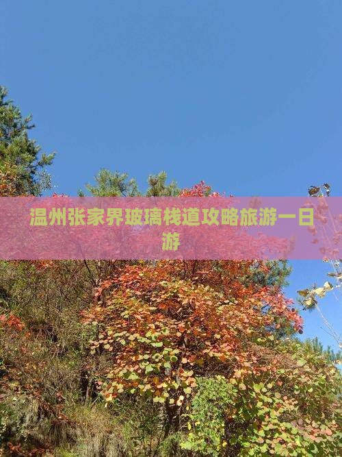 温州到张家界玻璃栈道一日