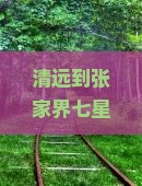 清远到张家界七星山二日游