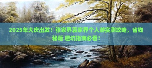 大庆去张家界袁家界个人游