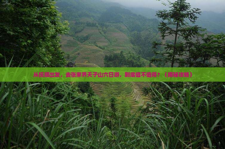 抚顺去张家界天子山六日游