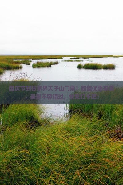 国庆节到张家界天子山门票