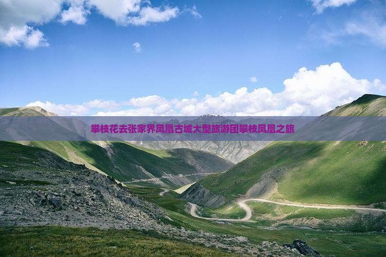 攀枝花去张家界凤凰古城大型旅游团