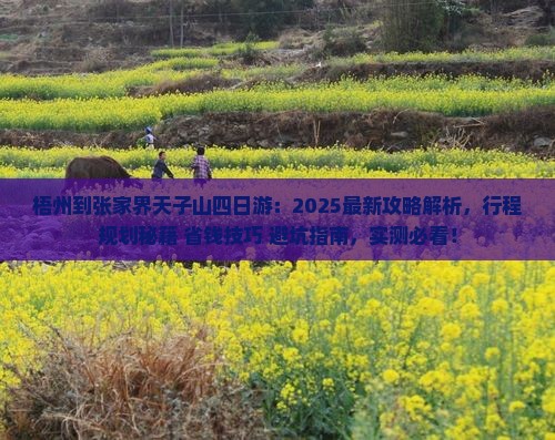 梧州到张家界天子山四日游