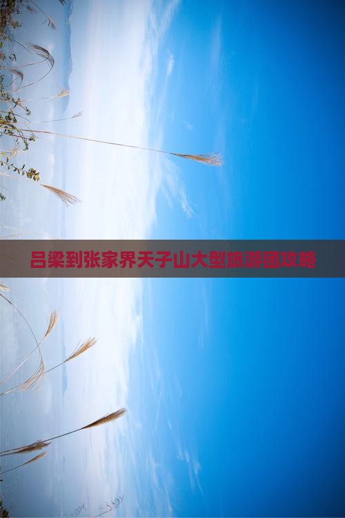 吕梁到张家界天子山大型旅游团