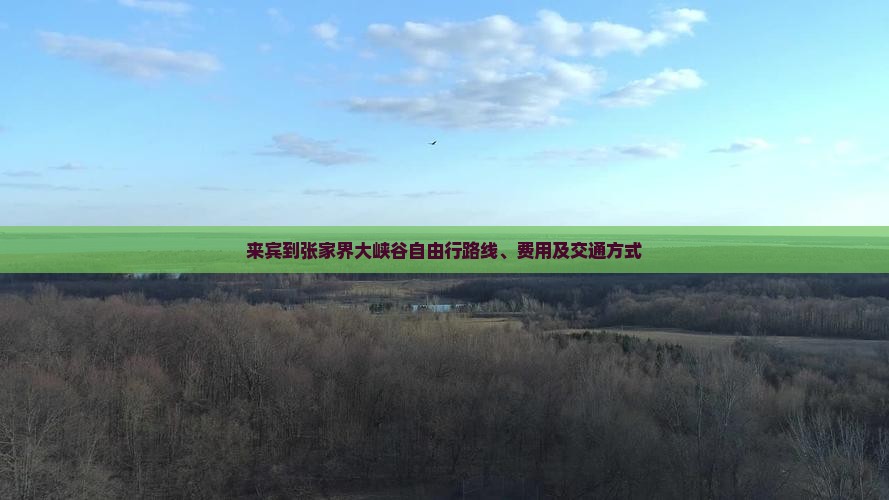 来宾到张家界大峡谷自由行 来宾到张家界大峡谷自由行