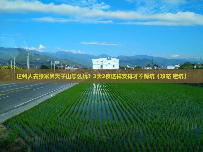 达州去张家界天子山个人游