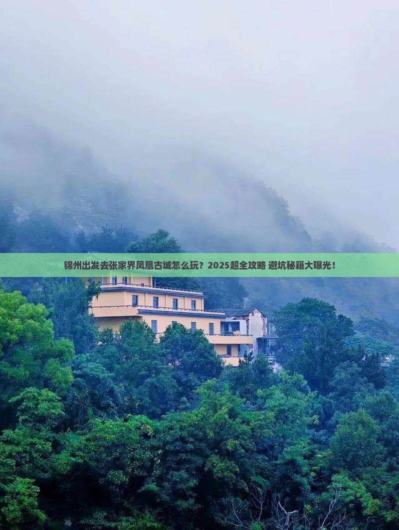 锦州去张家界凤凰古城旅行社