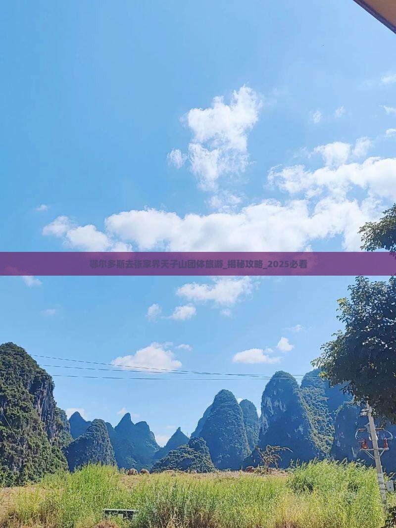 鄂尔多斯去张家界天子山团体旅游