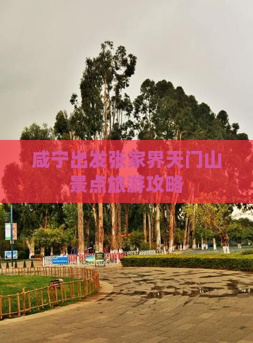 咸宁去张家界天门山必去地