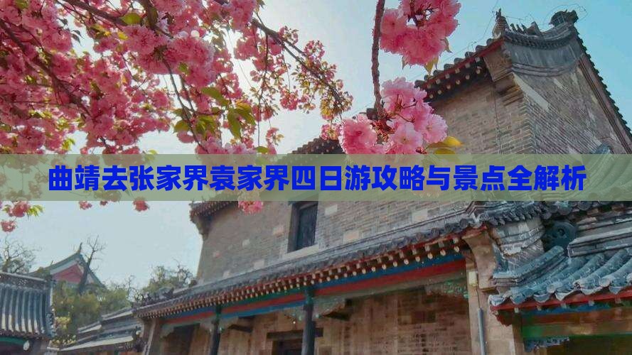 曲靖去张家界袁家界四日游