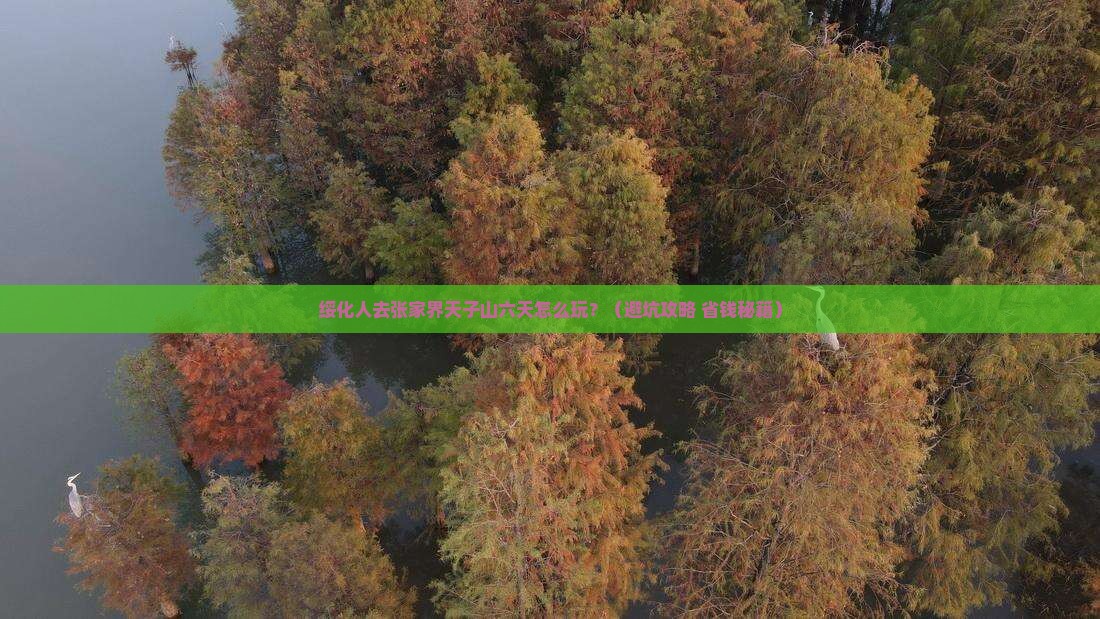 绥化到张家界天子山六日游