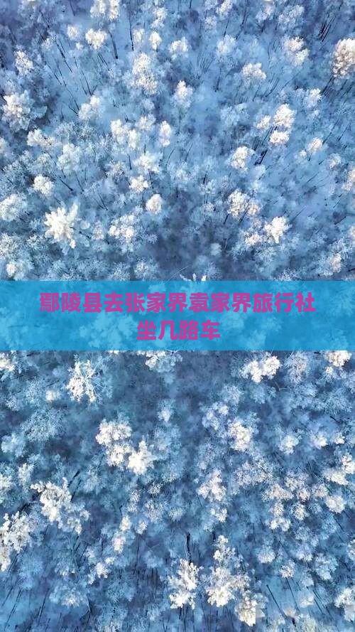 鄢陵县去张家界袁家界旅行社