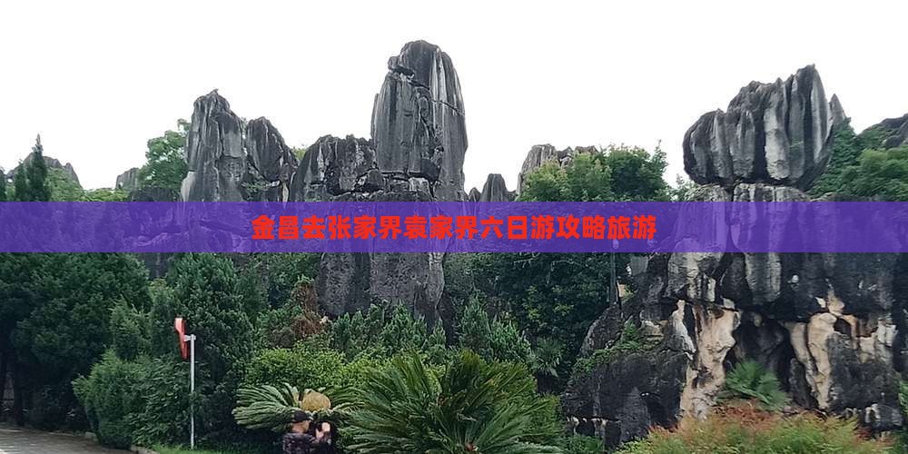 金昌去张家界袁家界六日游