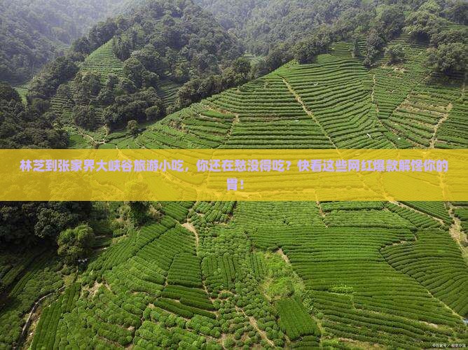林芝到张家界大峡谷旅游小吃