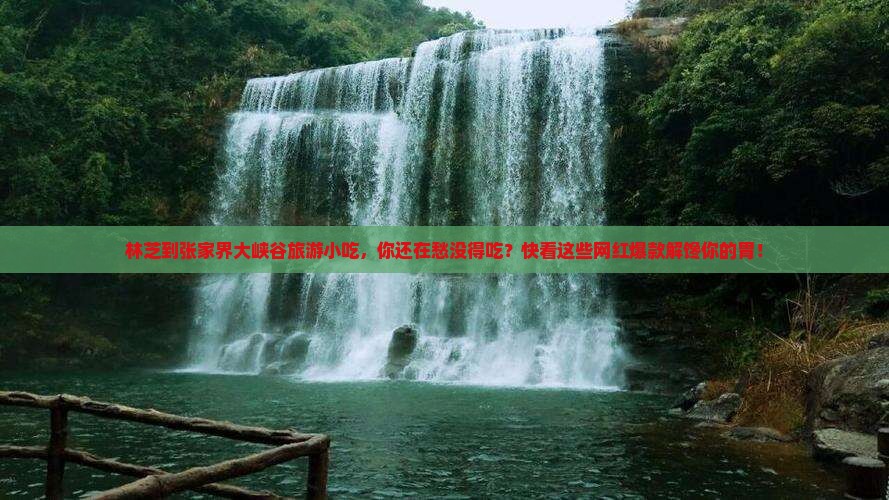林芝到张家界大峡谷旅游小吃