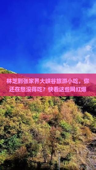 林芝到张家界大峡谷旅游小吃