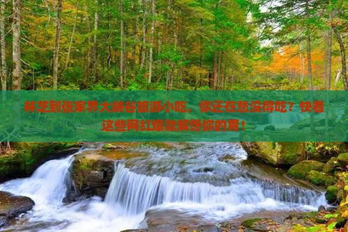 林芝到张家界大峡谷旅游小吃