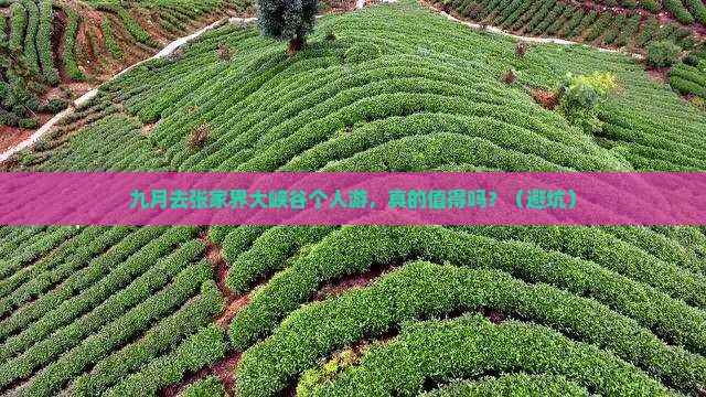 九月到张家界大峡谷个人游
