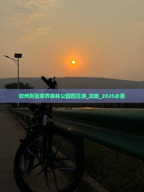 钦州到张家界森林公园四日游