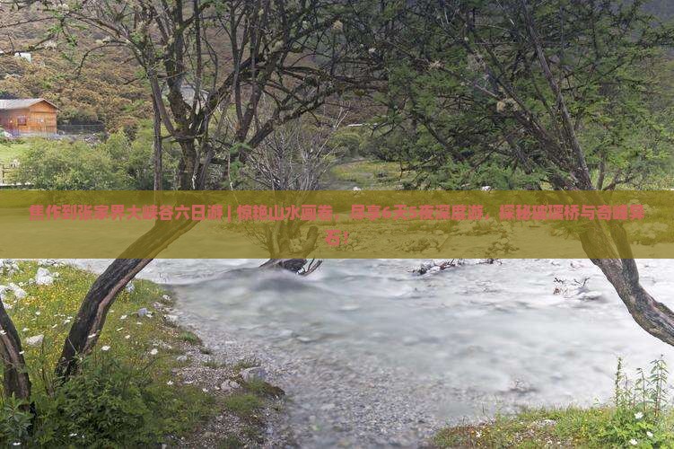 焦作到张家界大峡谷六日游