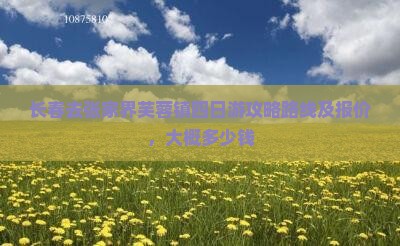 长春去张家界芙蓉镇四日游