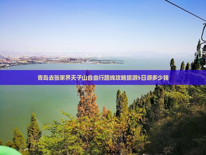 青岛去张家界天子山自由行