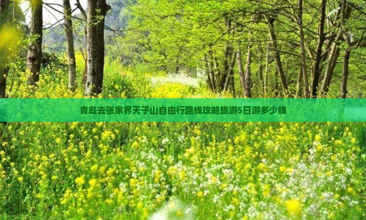 青岛去张家界天子山自由行